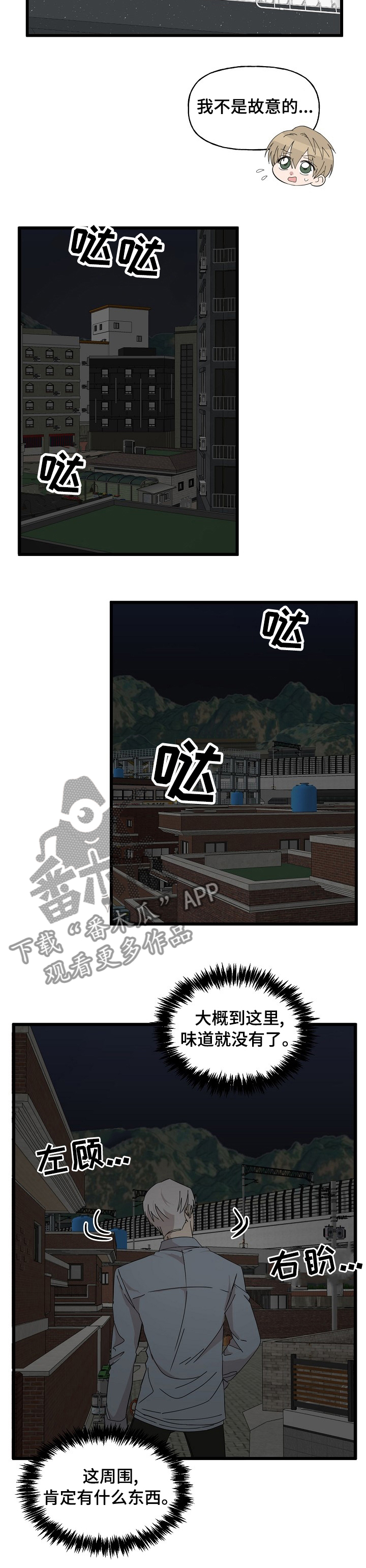 《幸运猫》漫画最新章节第29章：相册免费下拉式在线观看章节第【4】张图片