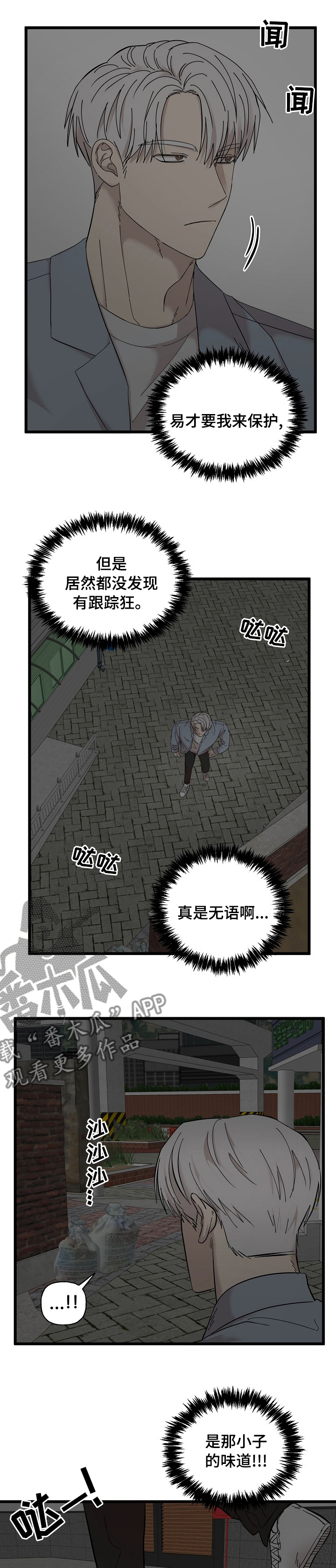 《幸运猫》漫画最新章节第29章：相册免费下拉式在线观看章节第【3】张图片