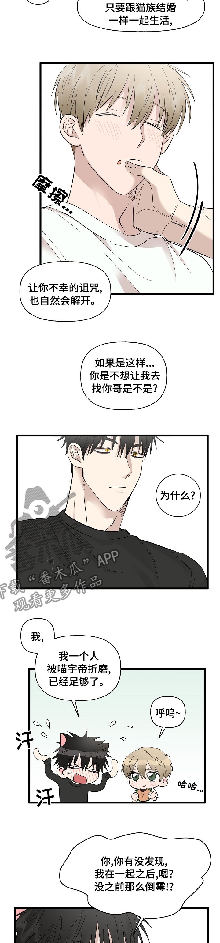 《幸运猫》漫画最新章节第29章：相册免费下拉式在线观看章节第【7】张图片