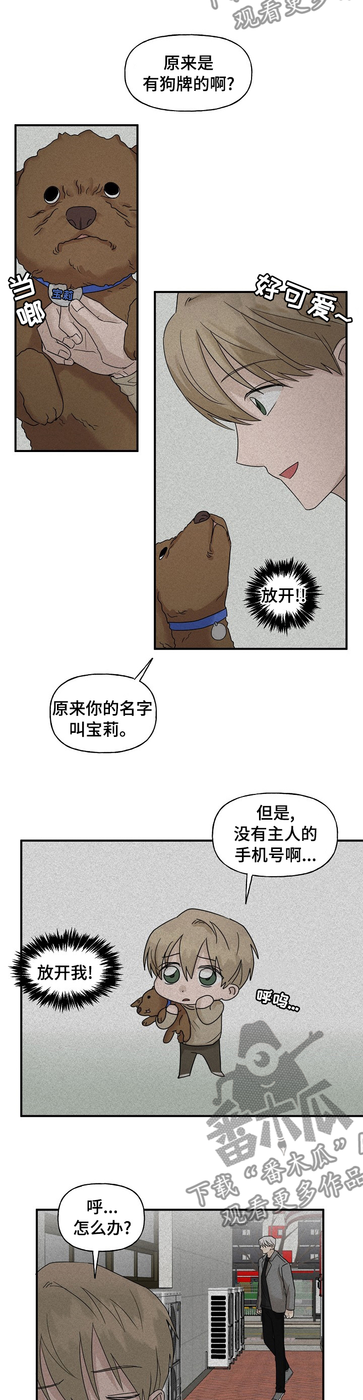 《幸运猫》漫画最新章节第30章：帮忙免费下拉式在线观看章节第【4】张图片