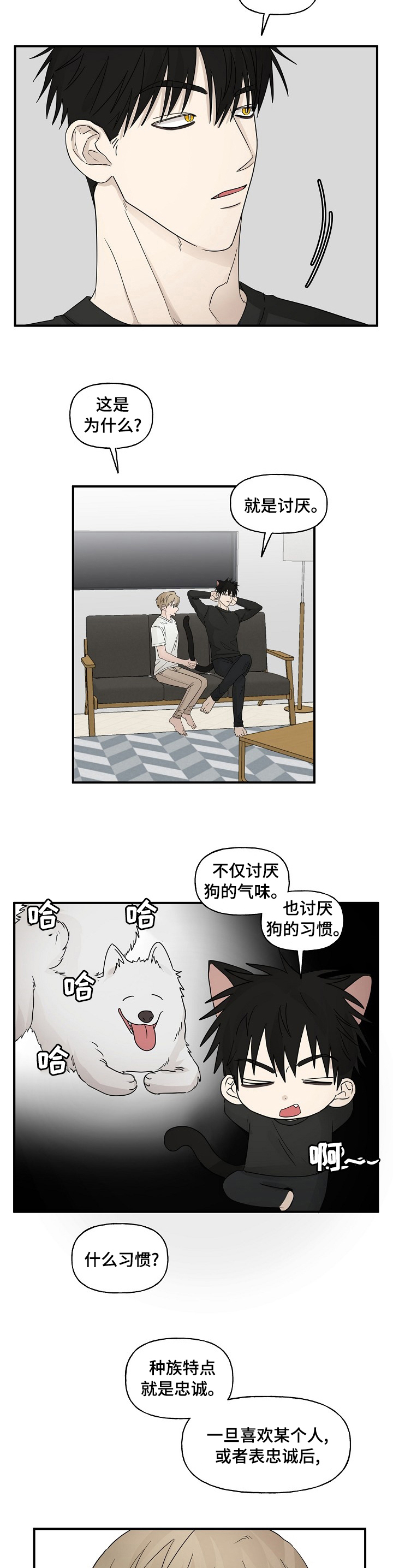 《幸运猫》漫画最新章节第31章：那个人免费下拉式在线观看章节第【4】张图片