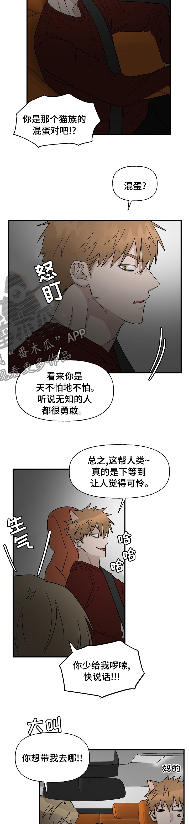 《幸运猫》漫画最新章节第34章：跟踪免费下拉式在线观看章节第【5】张图片