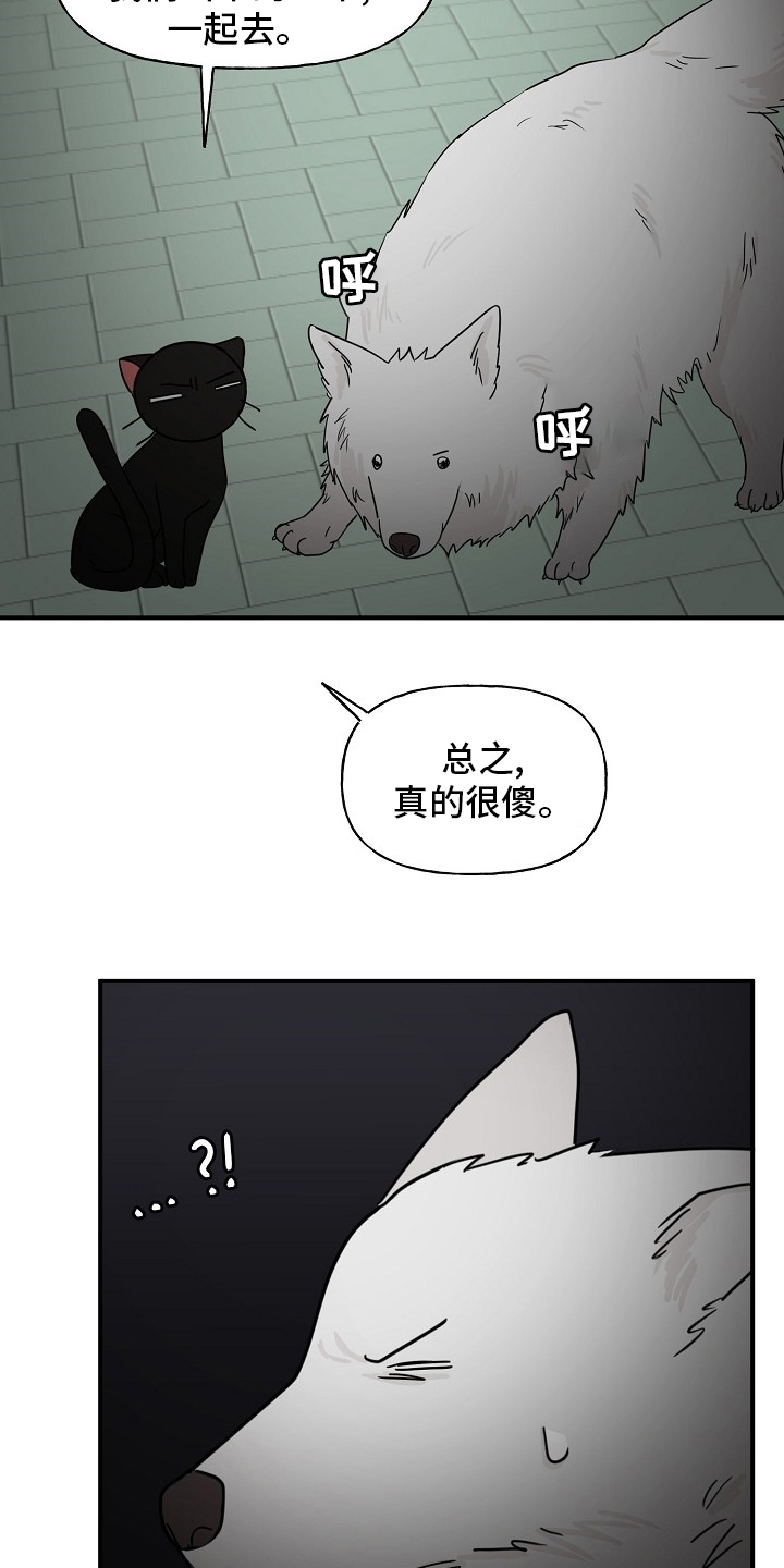 《幸运猫》漫画最新章节第36章：我来处理免费下拉式在线观看章节第【2】张图片