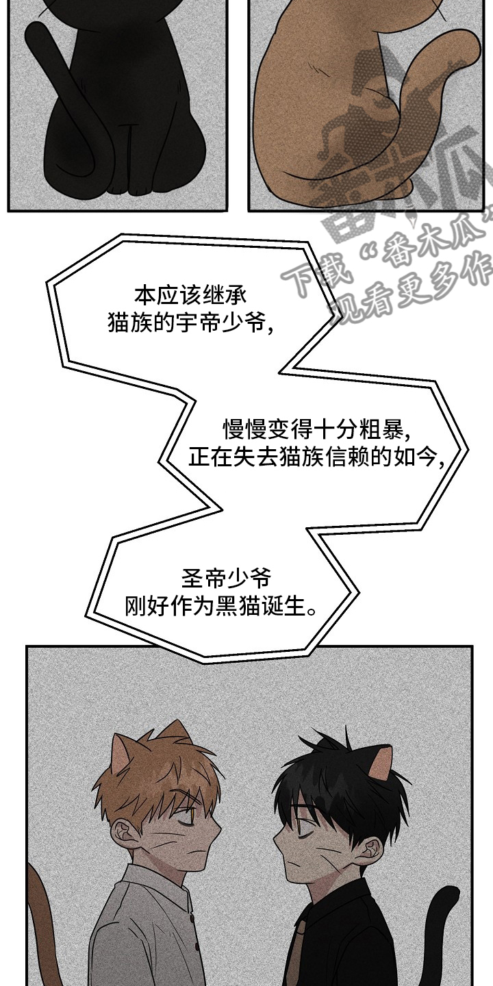 《幸运猫》漫画最新章节第36章：我来处理免费下拉式在线观看章节第【13】张图片