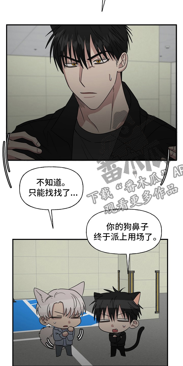 《幸运猫》漫画最新章节第36章：我来处理免费下拉式在线观看章节第【7】张图片