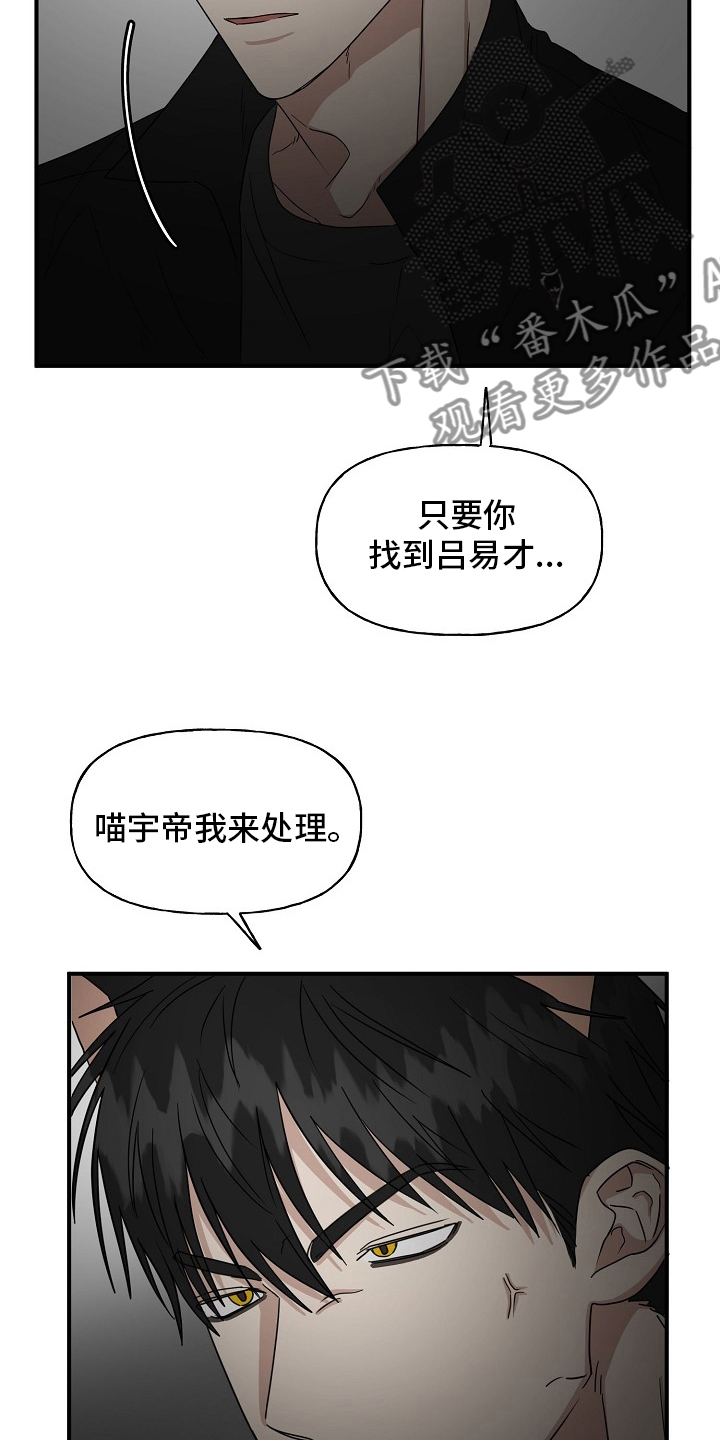 《幸运猫》漫画最新章节第36章：我来处理免费下拉式在线观看章节第【5】张图片