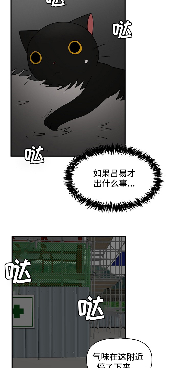 《幸运猫》漫画最新章节第37章：住手免费下拉式在线观看章节第【19】张图片