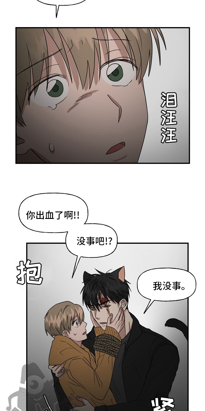 《幸运猫》漫画最新章节第37章：住手免费下拉式在线观看章节第【13】张图片