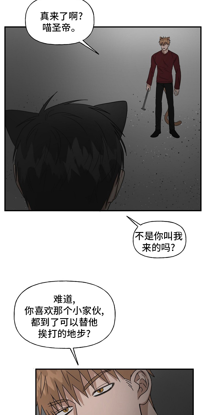 《幸运猫》漫画最新章节第37章：住手免费下拉式在线观看章节第【11】张图片