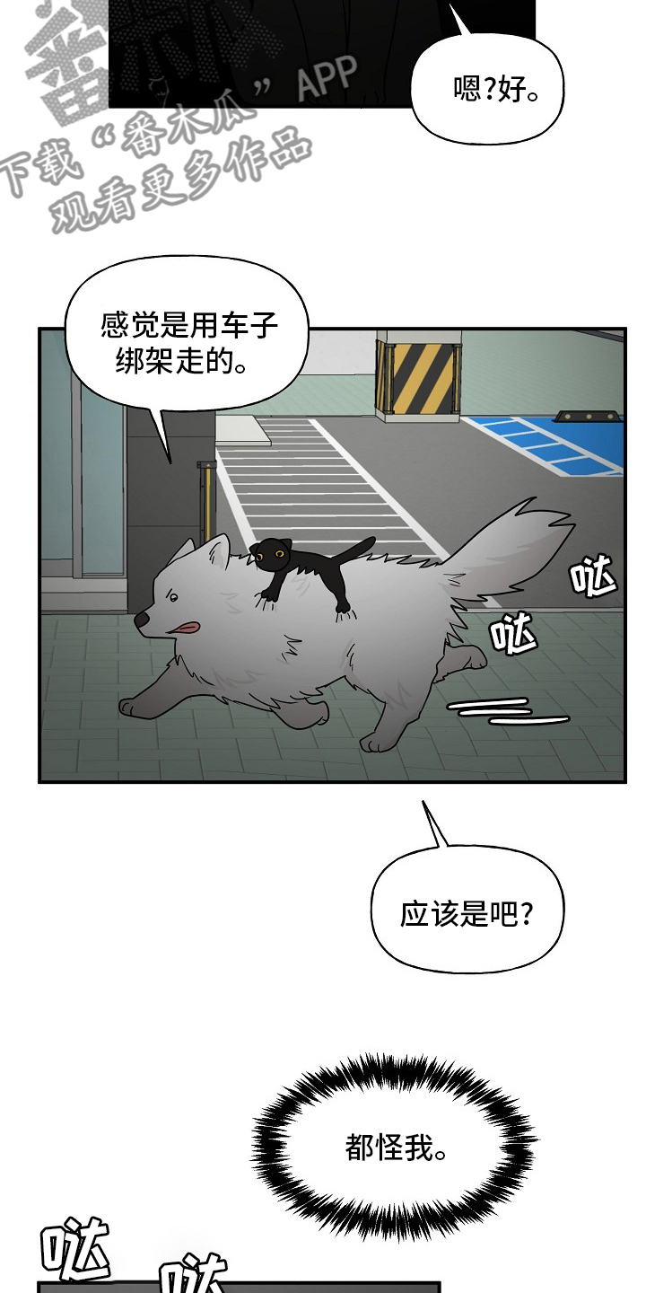 《幸运猫》漫画最新章节第37章：住手免费下拉式在线观看章节第【20】张图片