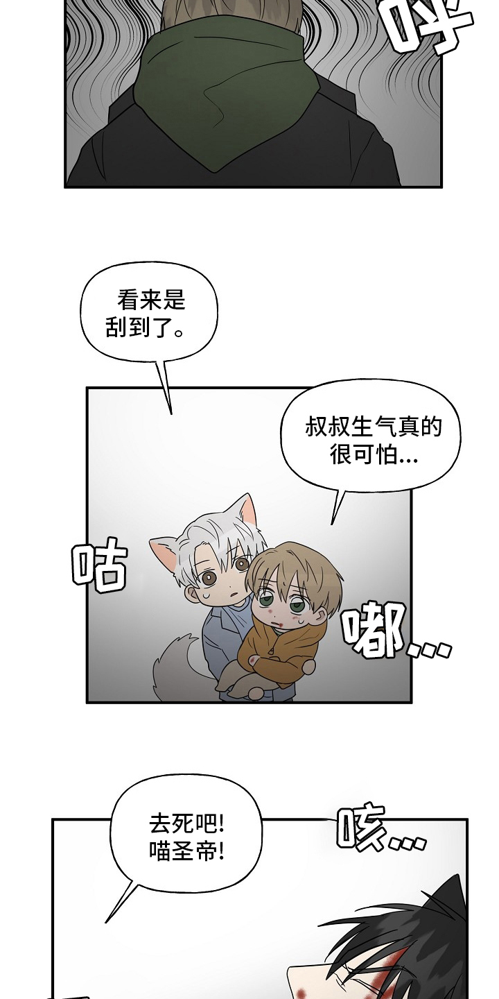 《幸运猫》漫画最新章节第38章：特殊能力免费下拉式在线观看章节第【13】张图片