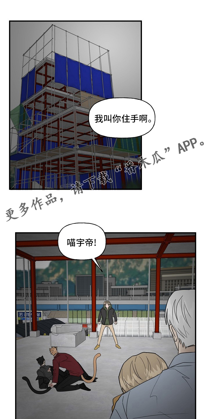 《幸运猫》漫画最新章节第38章：特殊能力免费下拉式在线观看章节第【20】张图片