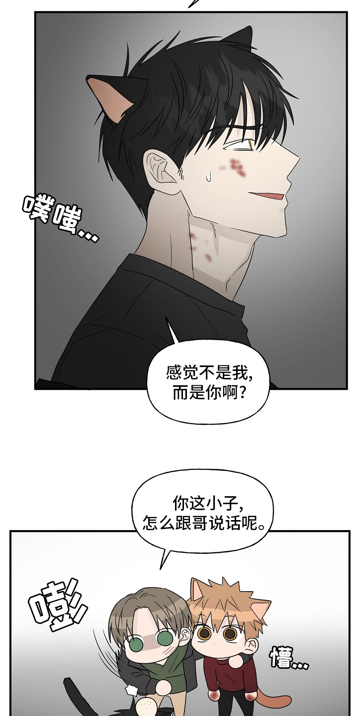 《幸运猫》漫画最新章节第38章：特殊能力免费下拉式在线观看章节第【5】张图片