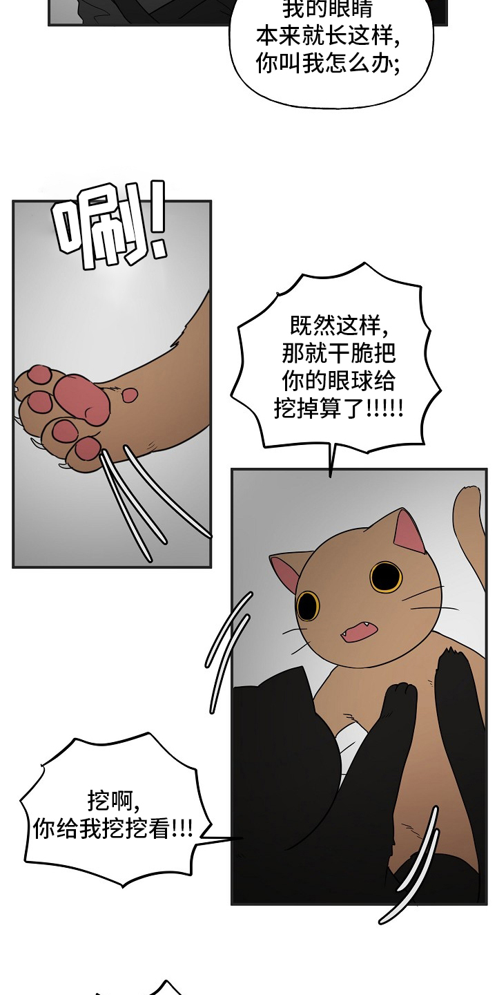 《幸运猫》漫画最新章节第39章：安抚免费下拉式在线观看章节第【8】张图片