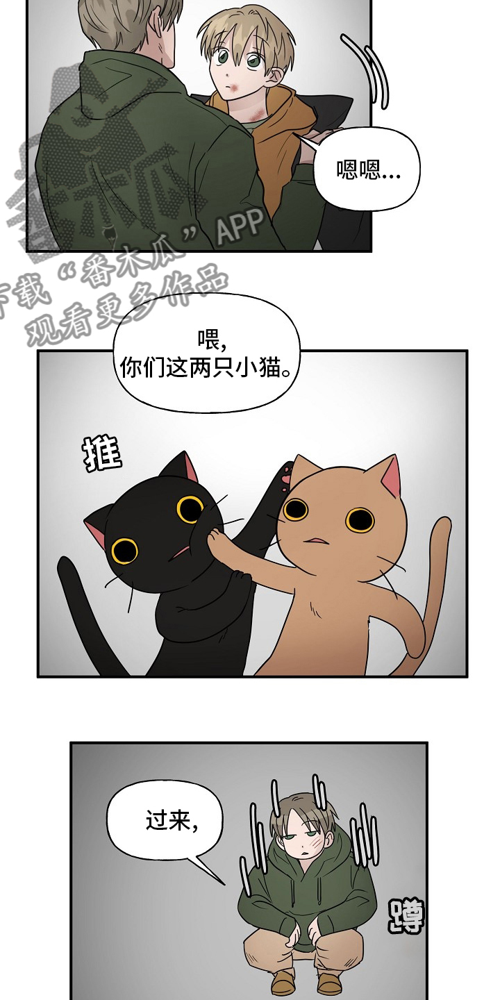 《幸运猫》漫画最新章节第39章：安抚免费下拉式在线观看章节第【5】张图片