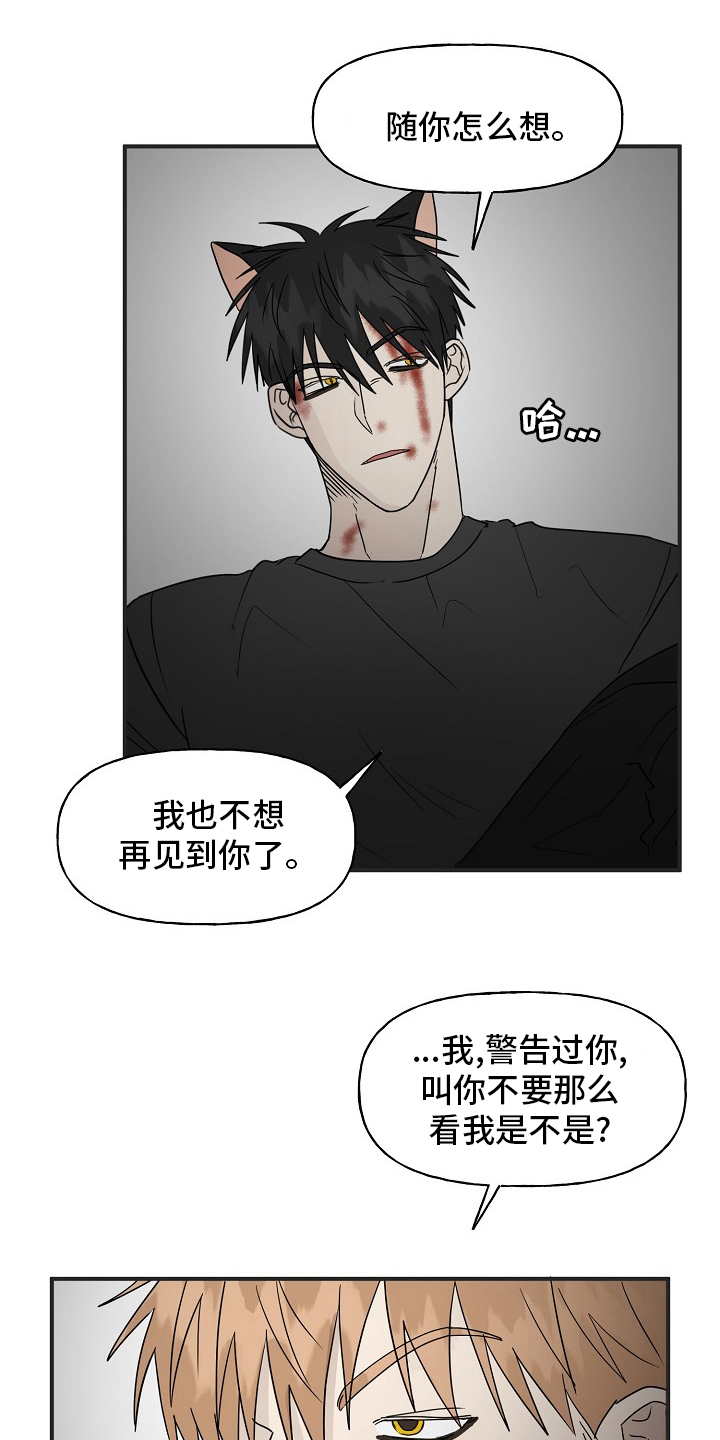 《幸运猫》漫画最新章节第39章：安抚免费下拉式在线观看章节第【10】张图片