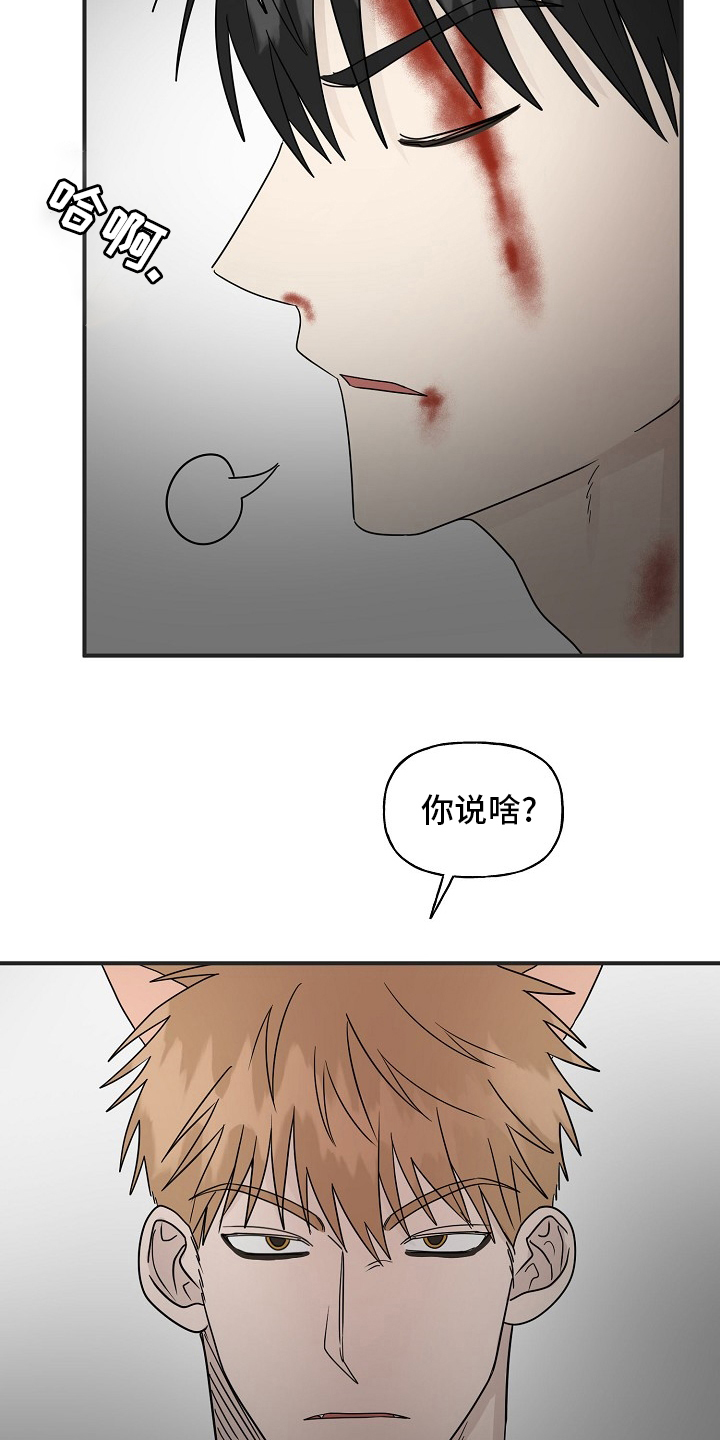 《幸运猫》漫画最新章节第39章：安抚免费下拉式在线观看章节第【12】张图片