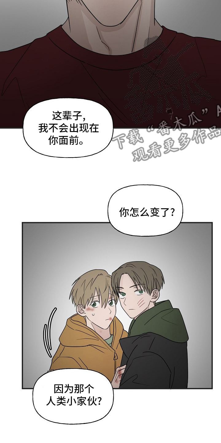 《幸运猫》漫画最新章节第39章：安抚免费下拉式在线观看章节第【11】张图片