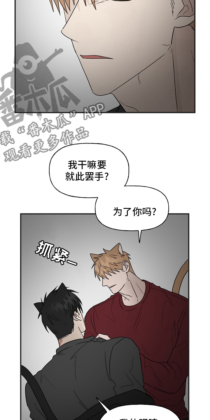 《幸运猫》漫画最新章节第39章：安抚免费下拉式在线观看章节第【9】张图片