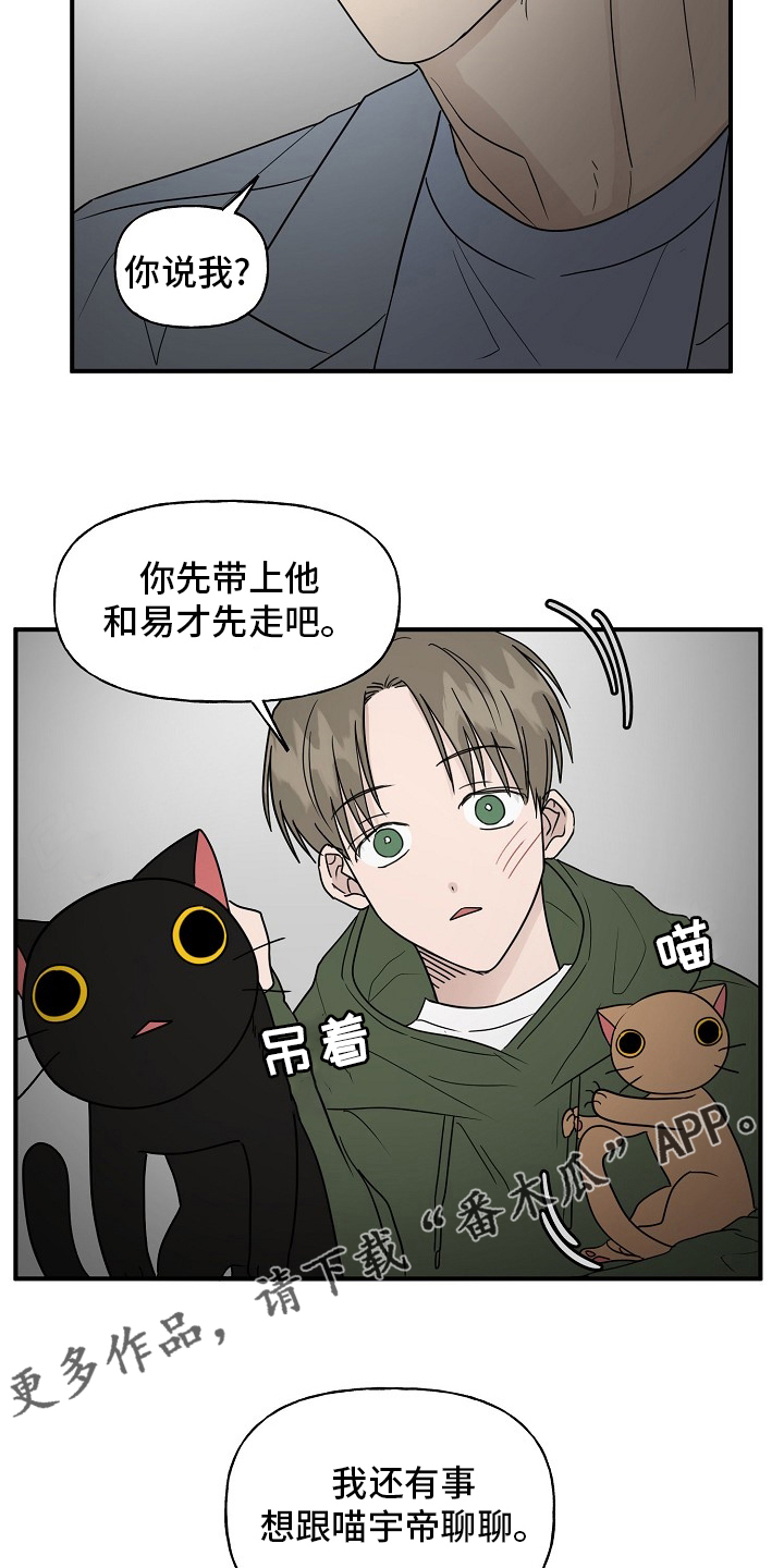 《幸运猫》漫画最新章节第39章：安抚免费下拉式在线观看章节第【2】张图片