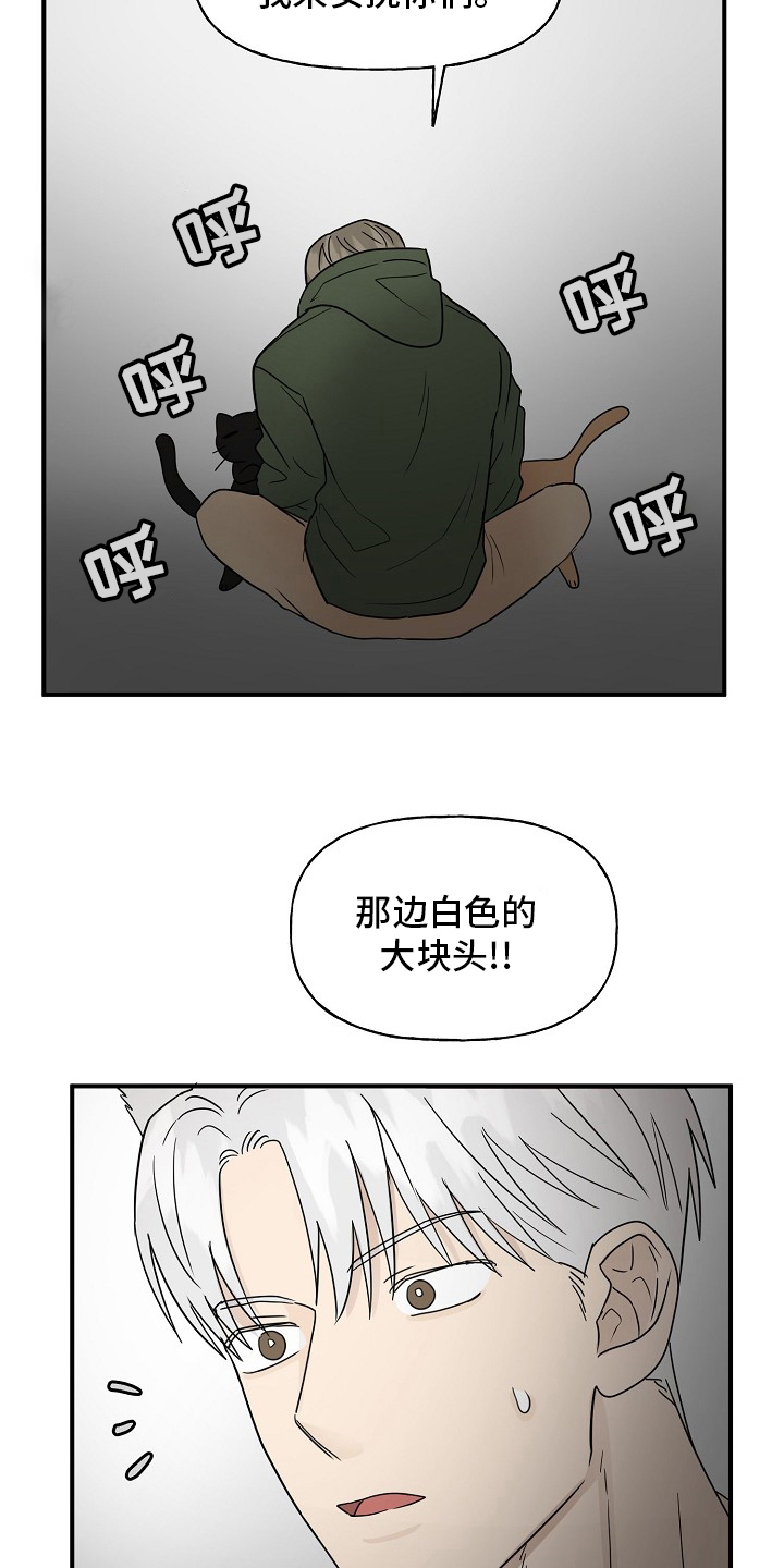 《幸运猫》漫画最新章节第39章：安抚免费下拉式在线观看章节第【3】张图片