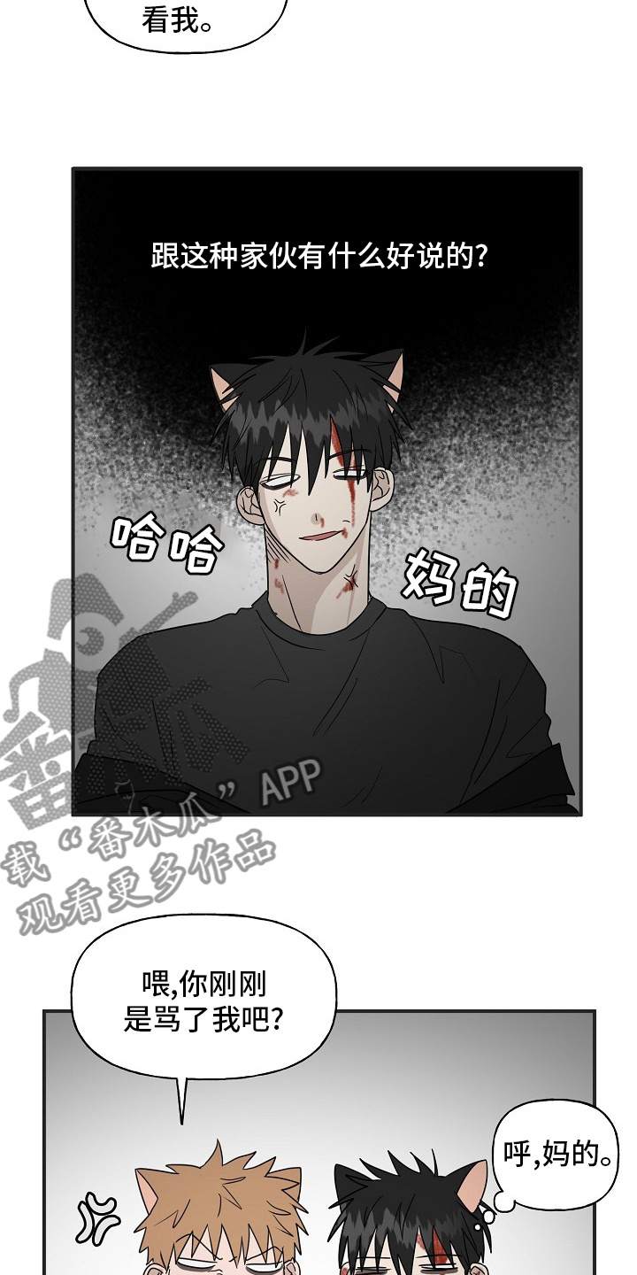 《幸运猫》漫画最新章节第39章：安抚免费下拉式在线观看章节第【14】张图片