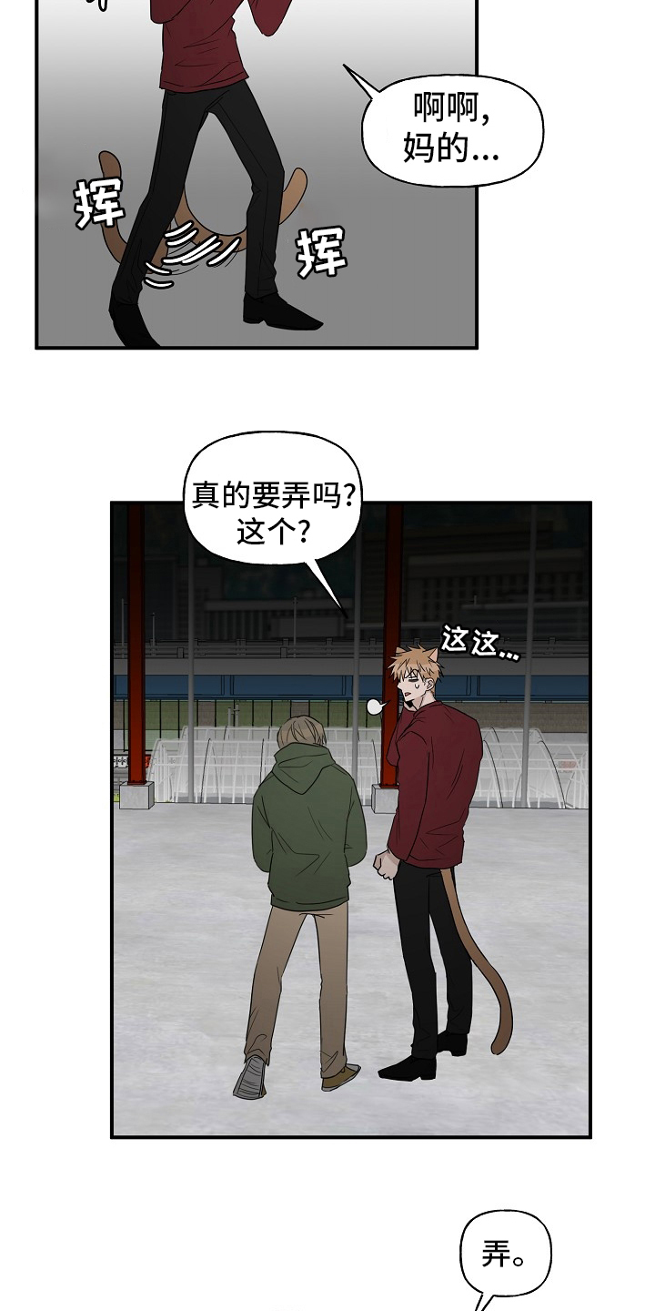 《幸运猫》漫画最新章节第40章：一起回家吧免费下拉式在线观看章节第【2】张图片