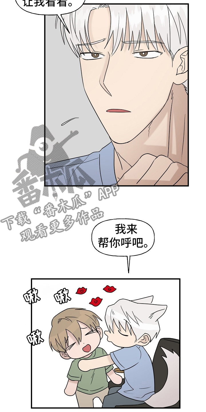 《幸运猫》漫画最新章节第40章：一起回家吧免费下拉式在线观看章节第【10】张图片