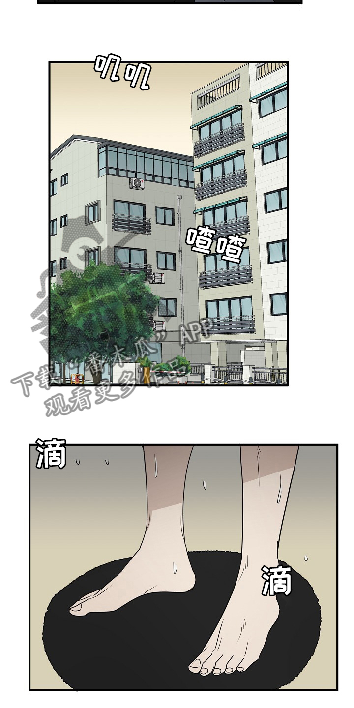 《幸运猫》漫画最新章节第40章：一起回家吧免费下拉式在线观看章节第【13】张图片