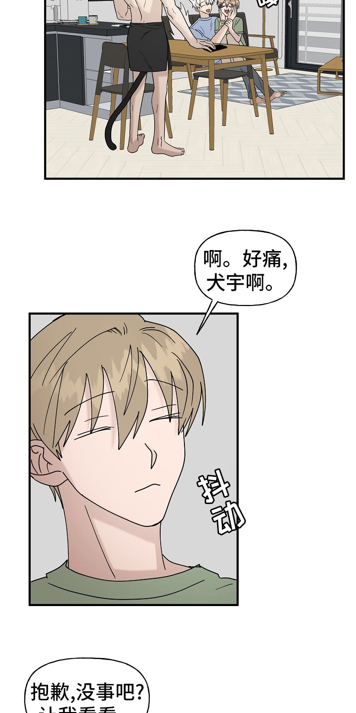 《幸运猫》漫画最新章节第40章：一起回家吧免费下拉式在线观看章节第【11】张图片