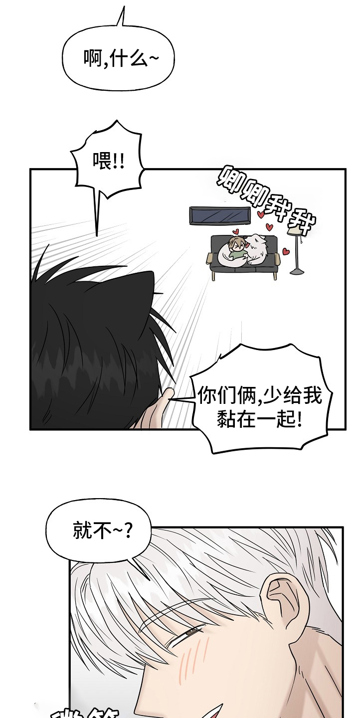 《幸运猫》漫画最新章节第40章：一起回家吧免费下拉式在线观看章节第【9】张图片