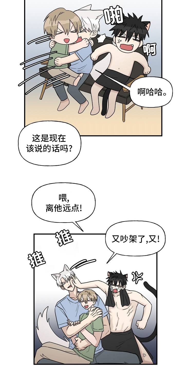 《幸运猫》漫画最新章节第41章：还没结束免费下拉式在线观看章节第【12】张图片