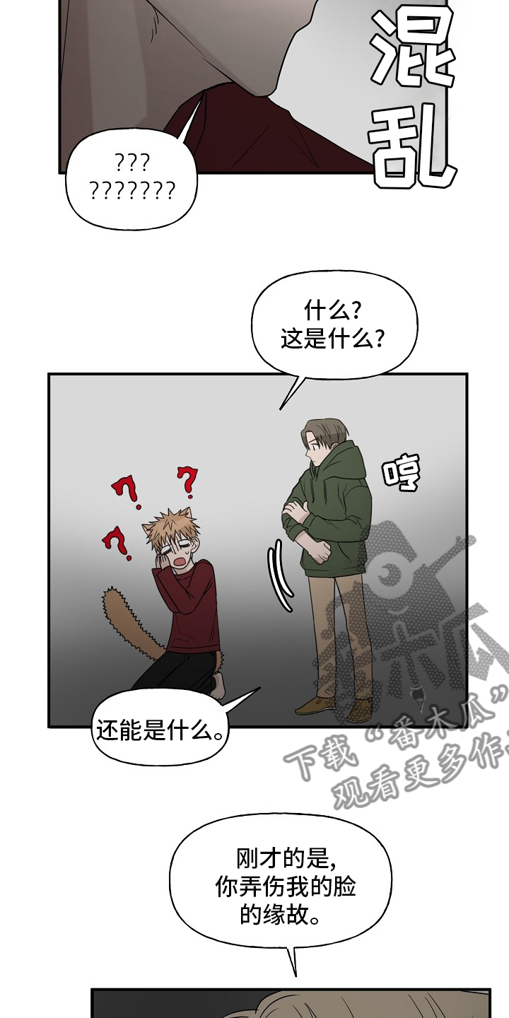 《幸运猫》漫画最新章节第41章：还没结束免费下拉式在线观看章节第【5】张图片