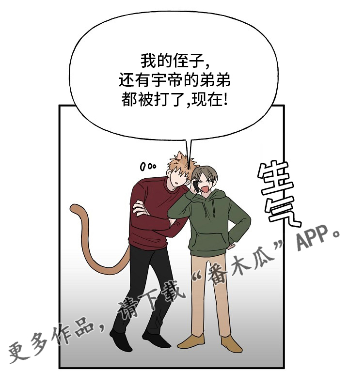 《幸运猫》漫画最新章节第42章：继续免费下拉式在线观看章节第【1】张图片