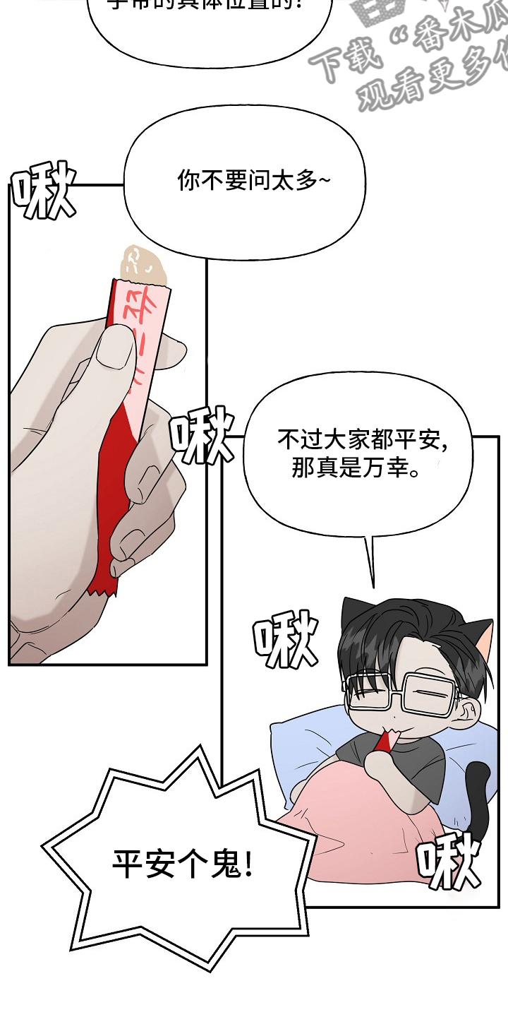 《幸运猫》漫画最新章节第42章：继续免费下拉式在线观看章节第【2】张图片