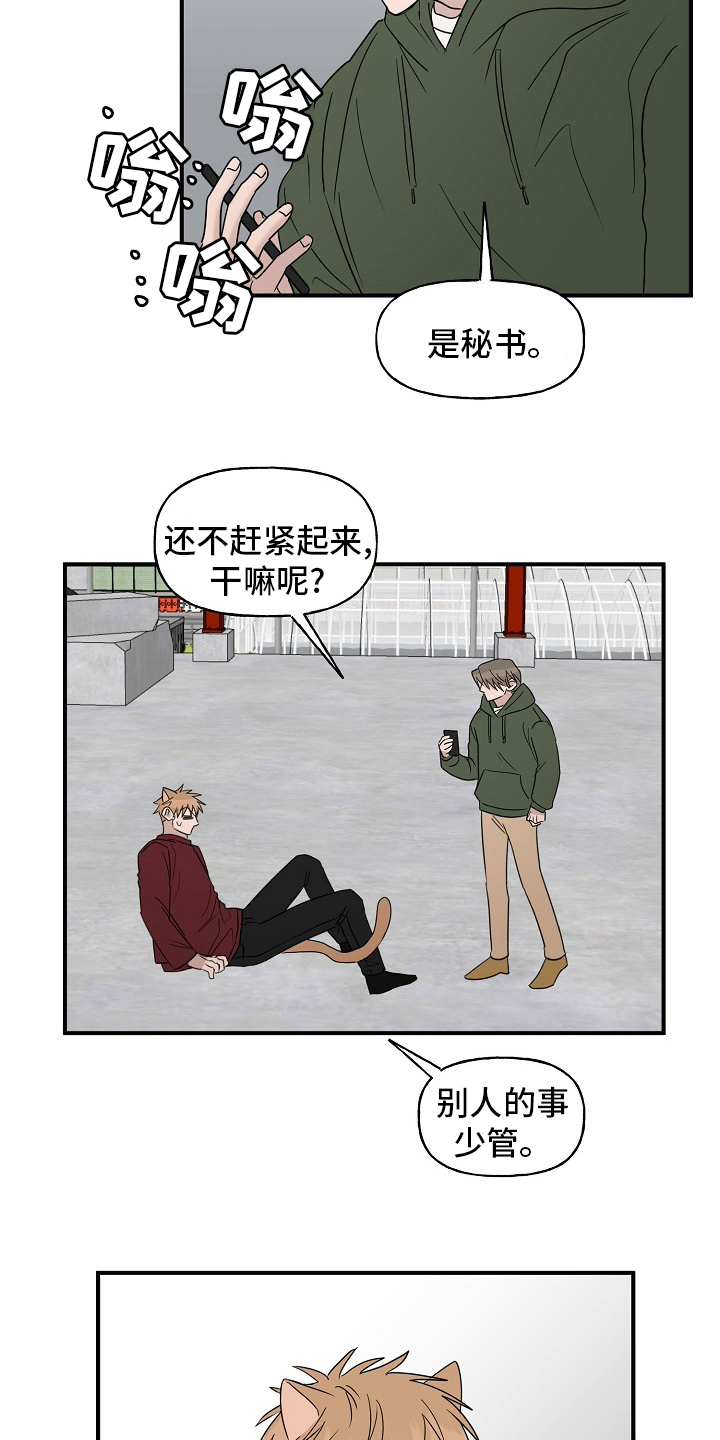 《幸运猫》漫画最新章节第42章：继续免费下拉式在线观看章节第【6】张图片