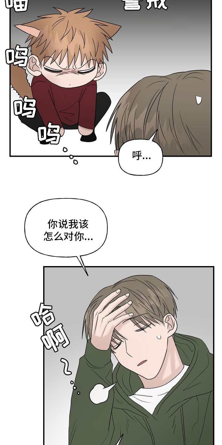 《幸运猫》漫画最新章节第42章：继续免费下拉式在线观看章节第【18】张图片