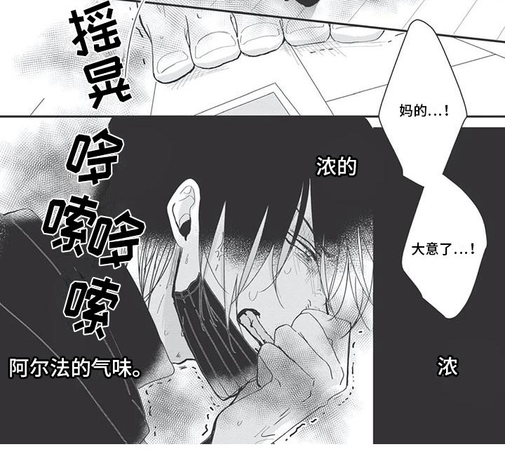 《独家阿尔法》漫画最新章节第3章：神秘快递免费下拉式在线观看章节第【1】张图片