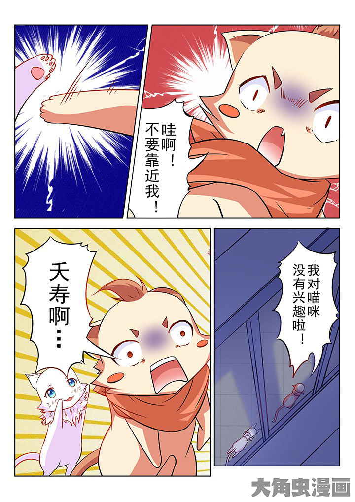 《少女包青天》漫画最新章节第43章：免费下拉式在线观看章节第【2】张图片