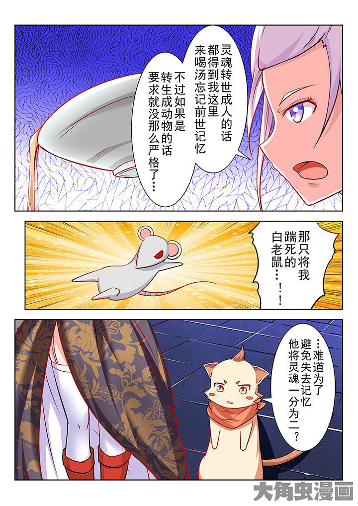 《少女包青天》漫画最新章节第46章：免费下拉式在线观看章节第【7】张图片