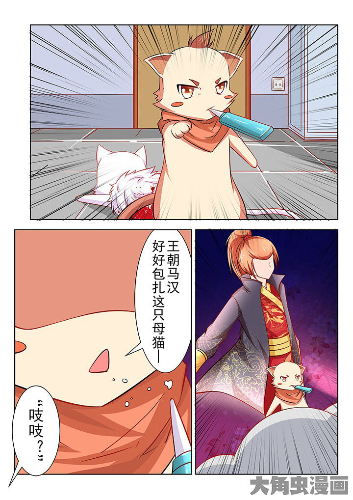 《少女包青天》漫画最新章节第47章：免费下拉式在线观看章节第【5】张图片