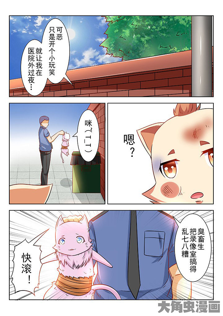 《少女包青天》漫画最新章节第55章：免费下拉式在线观看章节第【3】张图片