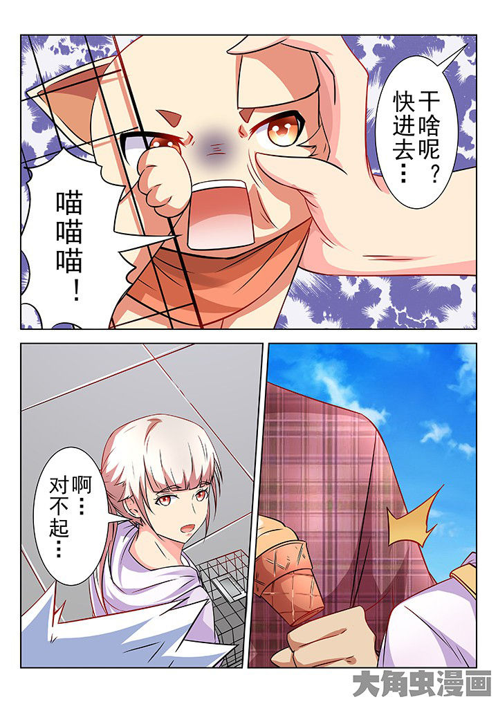 《少女包青天》漫画最新章节第60章：免费下拉式在线观看章节第【3】张图片