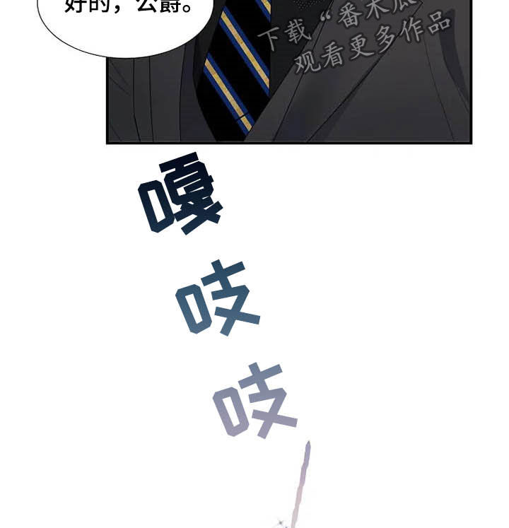 《公爵的教法》漫画最新章节第35章：同父异母免费下拉式在线观看章节第【16】张图片