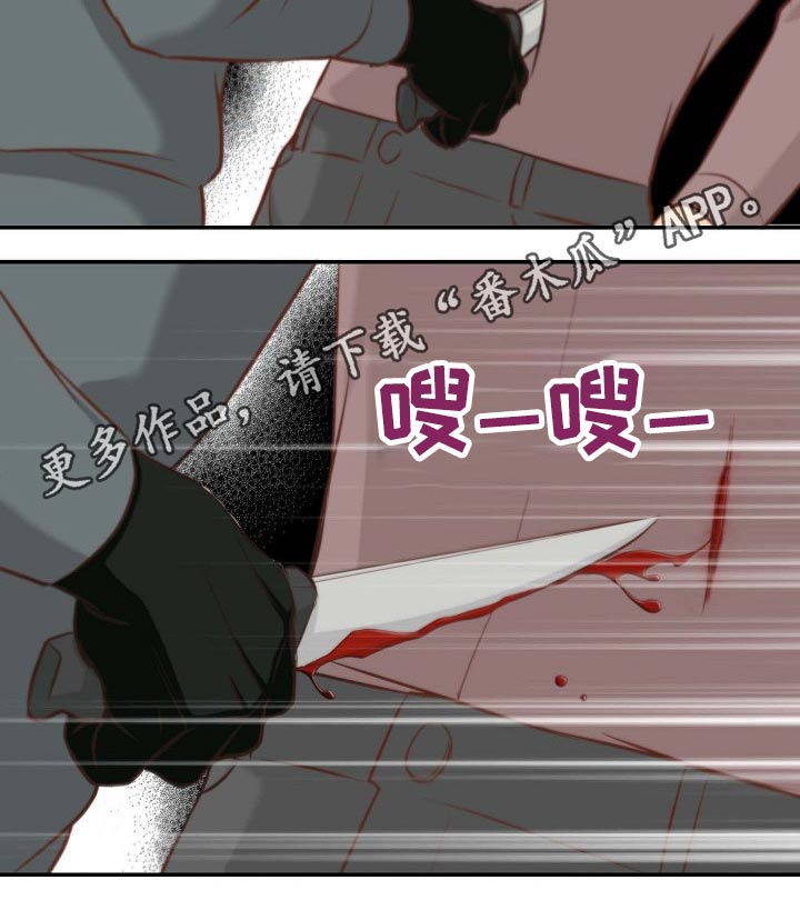 《坦白事实》漫画最新章节第73章：刺伤免费下拉式在线观看章节第【1】张图片