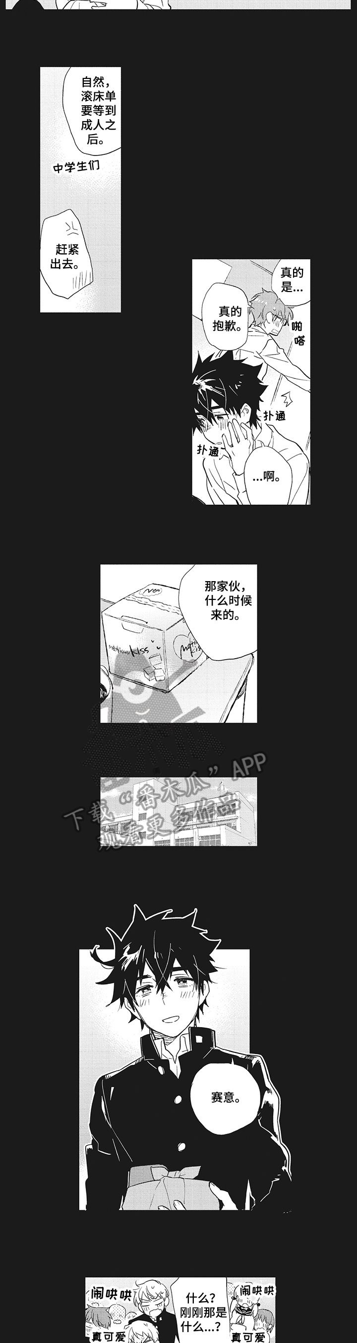 《星星兔》漫画最新章节第16章：喜欢免费下拉式在线观看章节第【5】张图片