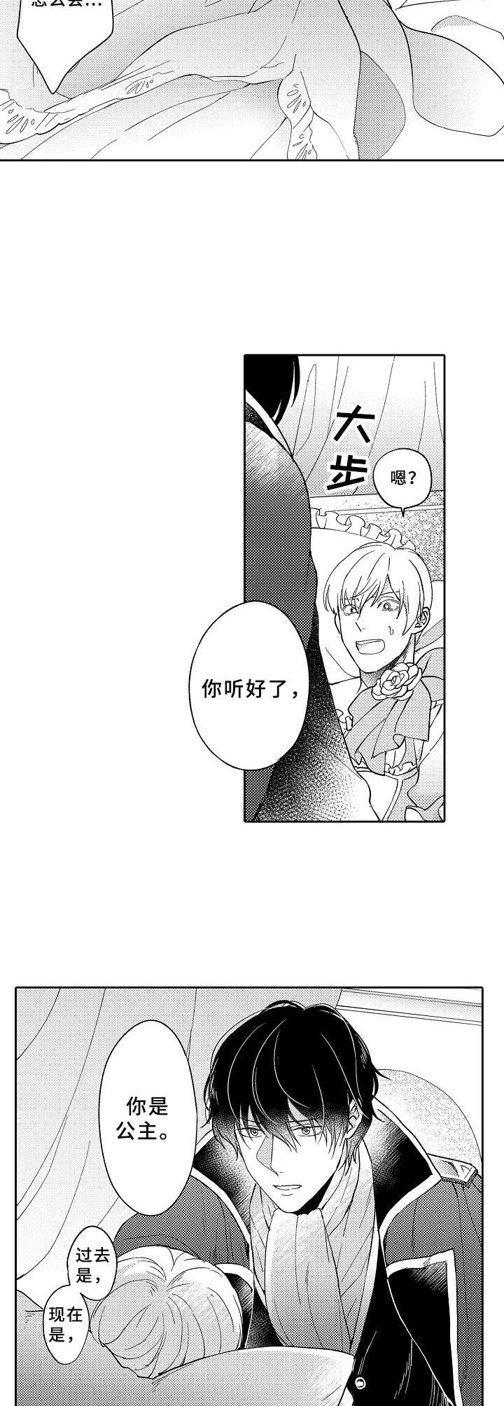 《黑白王子》漫画最新章节第4章：公主免费下拉式在线观看章节第【2】张图片