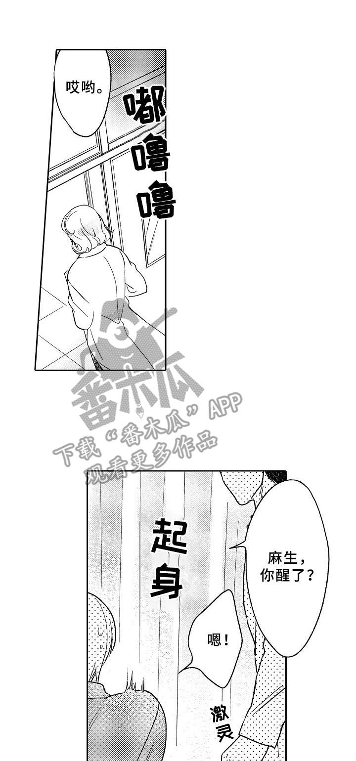 《黑白王子》漫画最新章节第4章：公主免费下拉式在线观看章节第【11】张图片