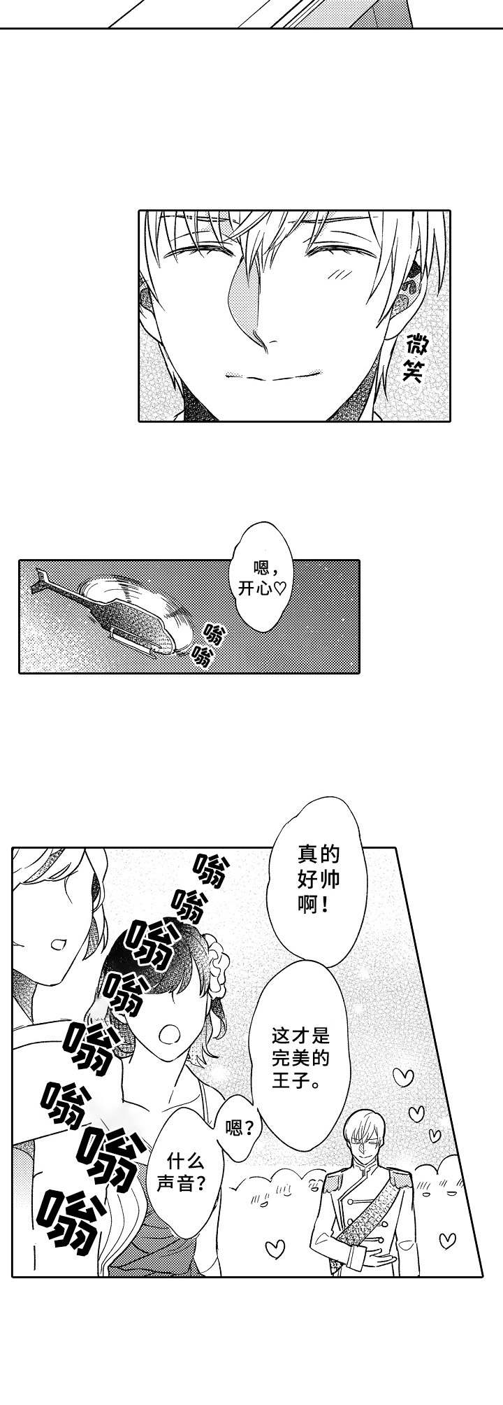 《黑白王子》漫画最新章节第4章：公主免费下拉式在线观看章节第【6】张图片