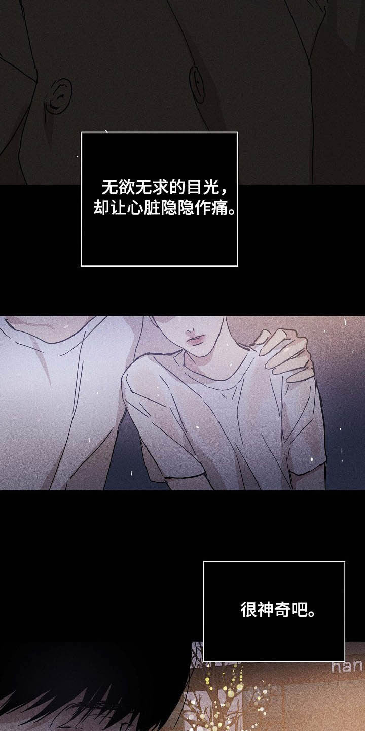 《与男人结婚》漫画最新章节第50章：圣诞树免费下拉式在线观看章节第【3】张图片